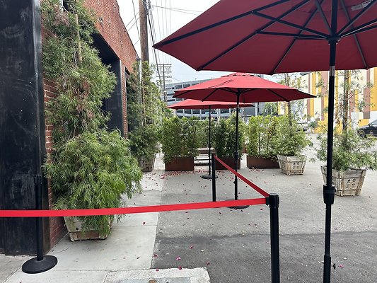 Photo Nov 12 2025, 2 00 59 PM Photo Nov 12 2025, 2 00 59 PM