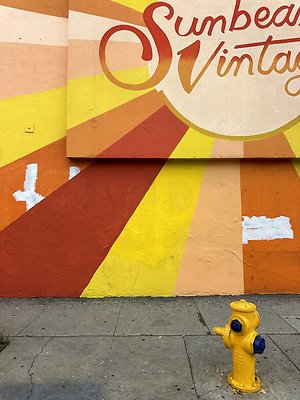 Photo Nov 13 2025, 9 46 15 AM