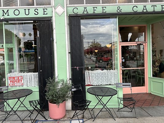 Photo Nov 13 2025, 9 55 44 AM