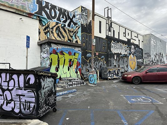 Photo Nov 13 2025, 9 49 38 AM