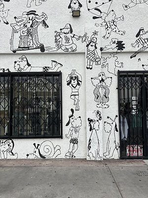 Photo Nov 13 2025, 9 54 10 AM