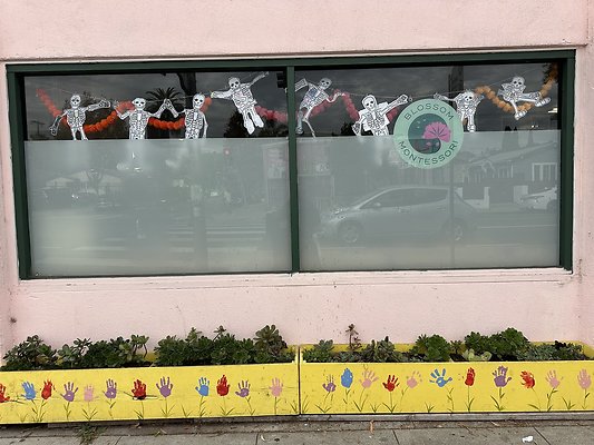 Photo Nov 13 2025, 11 00 10 AM