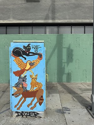 Photo Nov 13 2025, 11 41 18 AM