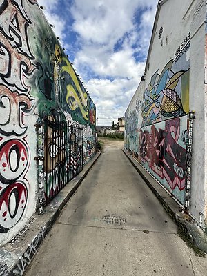 Photo Nov 13 2025, 11 09 30 AM