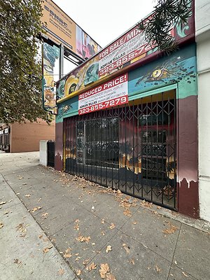 Photo Nov 13 2025, 10 41 58 AM