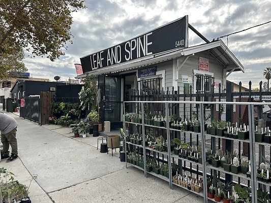 Photo Nov 13 2025, 10 48 29 AM