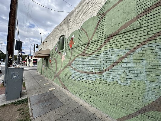 Photo Nov 13 2025, 11 14 38 AM