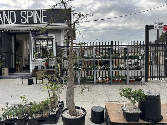 Photo Nov 13 2025, 10 48 36 AM