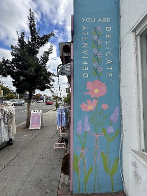 Photo Nov 13 2025, 11 07 26 AM