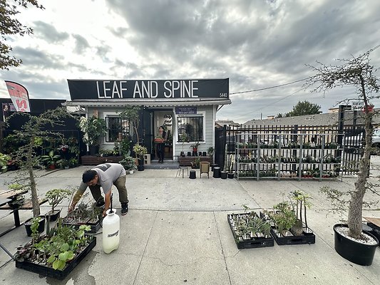 Photo Nov 13 2025, 10 47 44 AM