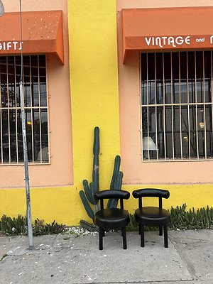 Photo Nov 13 2025, 9 47 48 AM