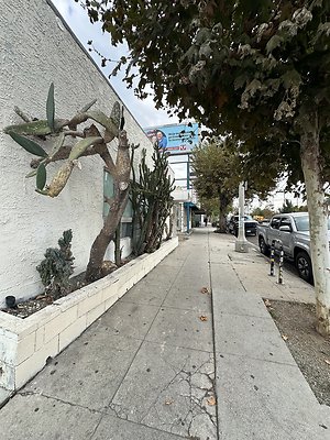 Photo Nov 13 2025, 10 57 51 AM