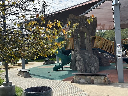 Photo Nov 13 2025, 11 39 13 AM