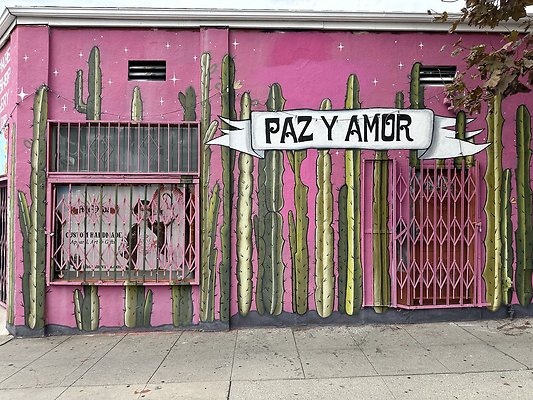 Photo Nov 13 2025, 11 00 55 AM