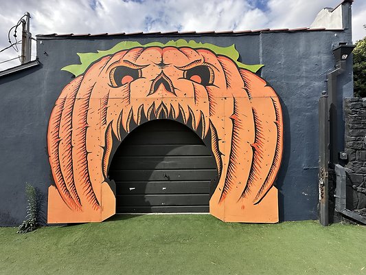 Photo Nov 13 2025, 11 05 41 AM