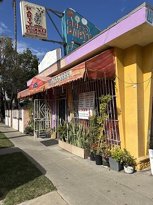 Photo Nov 13 2025, 11 43 08 AM