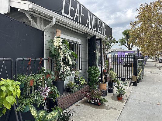 Photo Nov 13 2025, 10 48 14 AM