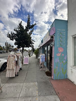 Photo Nov 13 2025, 11 07 16 AM