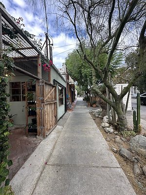 Photo Nov 13 2025, 12 45 49 PM