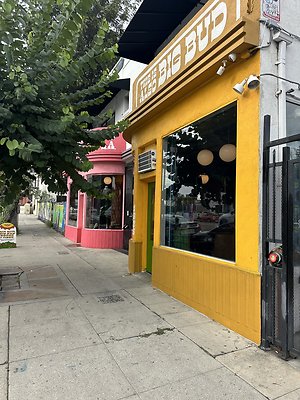 Photo Nov 13 2025, 2 04 04 PM