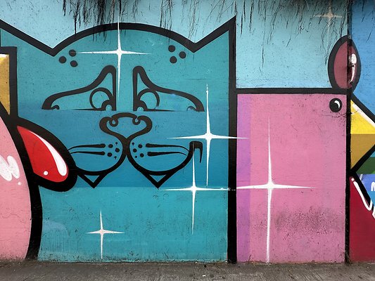 Photo Nov 13 2025, 1 39 01 PM