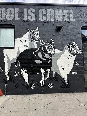 Photo Nov 13 2025, 1 35 46 PM