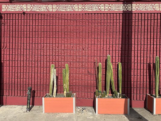 Photo Nov 13 2025, 1 30 02 PM