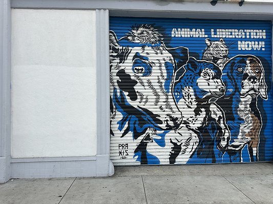 Photo Nov 13 2025, 1 47 01 PM