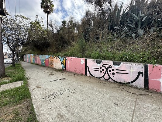 Photo Nov 13 2025, 1 38 29 PM