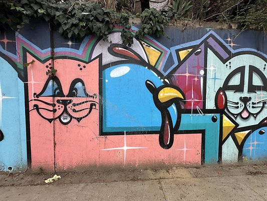 Photo Nov 13 2025, 1 33 34 PM