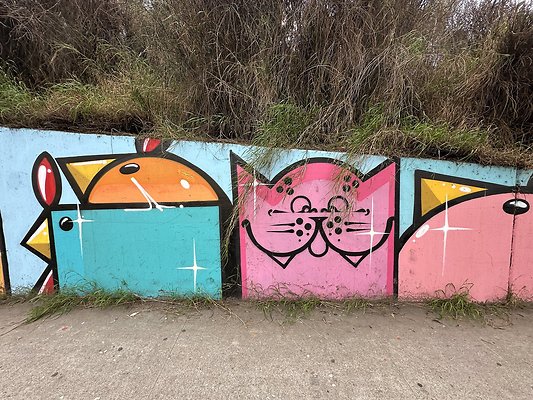 Photo Nov 13 2025, 1 38 42 PM