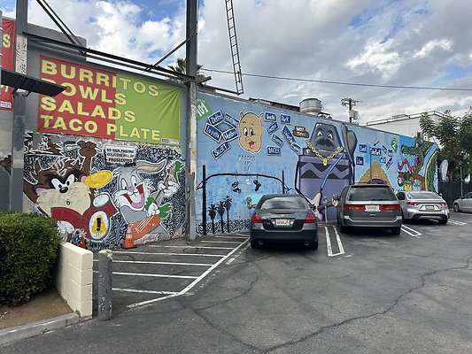 Photo Nov 13 2025, 2 09 24 PM