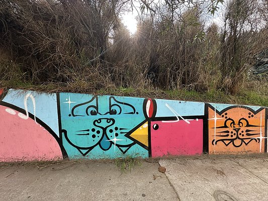 Photo Nov 13 2025, 1 38 37 PM