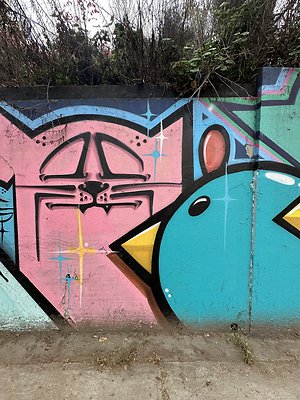 Photo Nov 13 2025, 1 33 24 PM