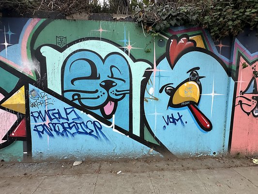 Photo Nov 13 2025, 1 33 31 PM