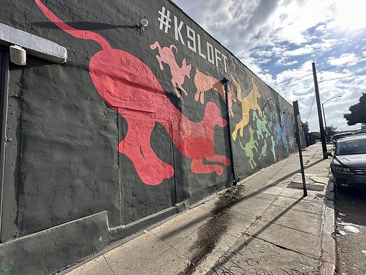 Photo Nov 13 2025, 1 43 58 PM