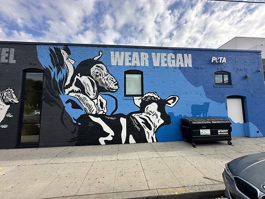 Photo Nov 13 2025, 1 35 52 PM