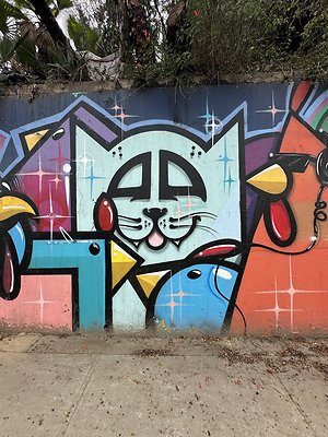 Photo Nov 13 2025, 1 33 38 PM