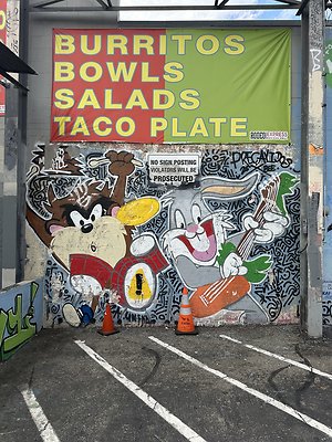 Photo Nov 13 2025, 2 09 29 PM