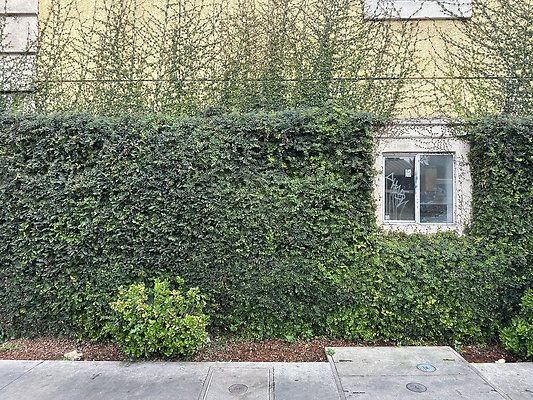 Photo Nov 13 2025, 1 59 48 PM