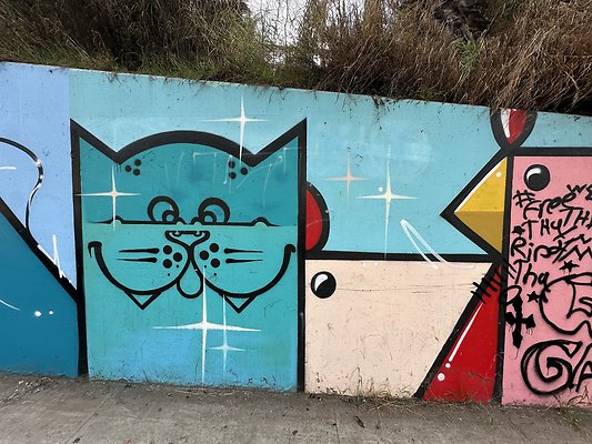 Photo Nov 13 2025, 1 38 49 PM