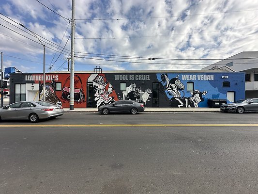 Photo Nov 13 2025, 1 36 00 PM