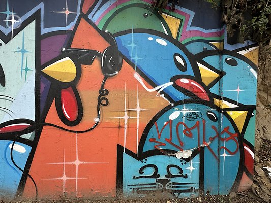 Photo Nov 13 2025, 1 33 41 PM