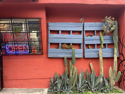 Photo Nov 13 2025, 2 32 28 PM