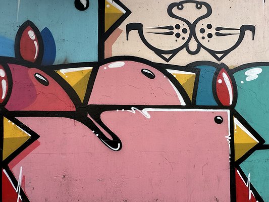 Photo Nov 13 2025, 1 39 17 PM