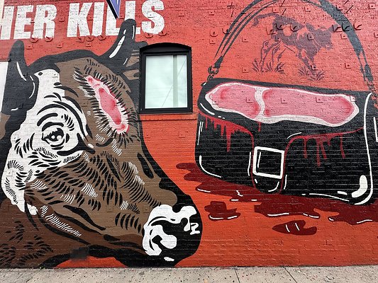 Photo Nov 13 2025, 1 35 35 PM