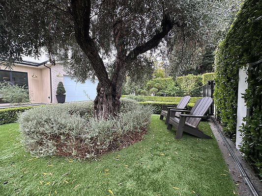 Photo Nov 14 2025, 10 05 26 AM Photo Nov 14 2025, 10 05 26 AM