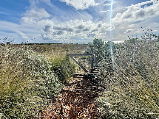 MMG - Nov 2025 - VER50