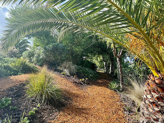 MMG - Nov 2025 - VER24