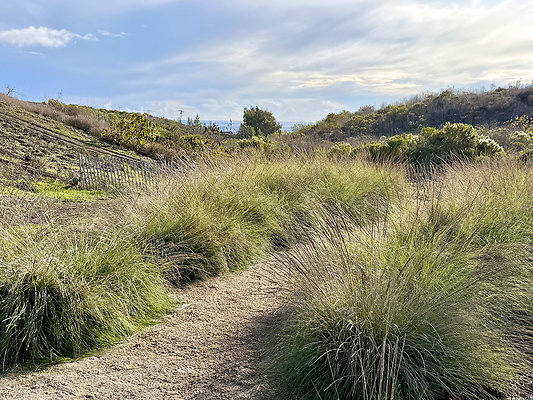 MMG - Nov 2025 - VER83